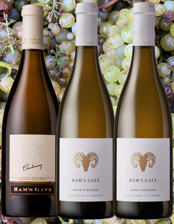 Hyde Chardonnay Vertical